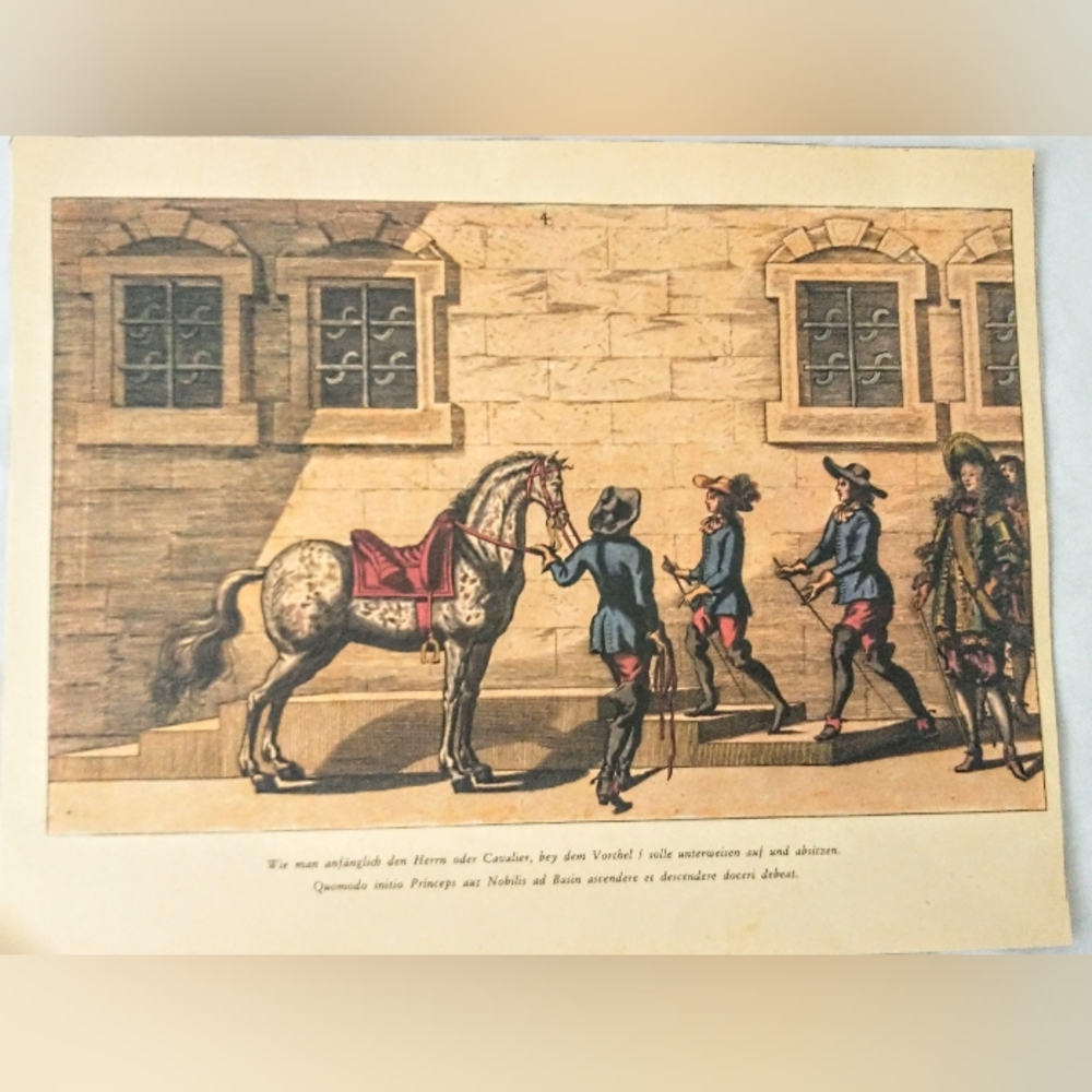 Antique Print - Horse Riding/Training - Equestrian Art